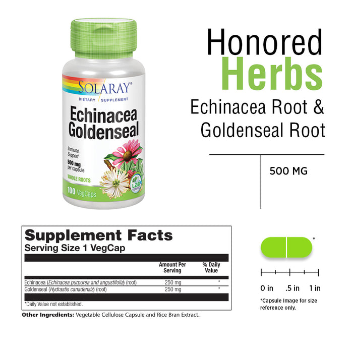 Solaray Echinacea Root & Goldenseal Root 500mg | Healthy Immune & Respiratory System Support | Non-GMO, Vegan & Lab Verified | 100 VegCaps