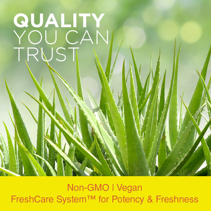 Nature's Life Aloe Vera Inner Leaf | Skin Health, Digestive Support & Regularity Formula | With Fennel | Non-GMO & Vegan | No Fillers | 100 Veg Caps