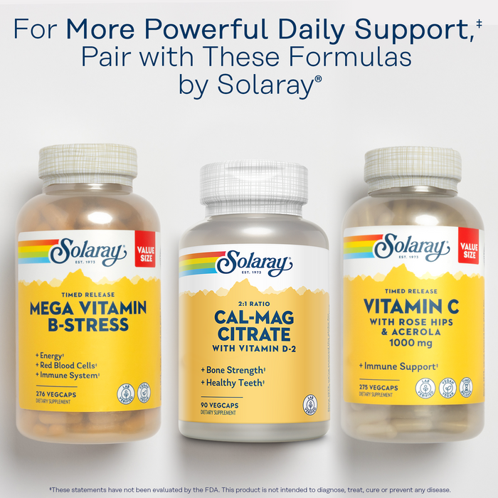 Solaray Calcium Magnesium Citrate 2:1 Ratio - Calcium Supplements for Women and Men w/ Magnesium and Vitamin D 2 - Bone Health, Muscle and Nerve Support - Vegan, 60-Day Guarantee, 15 Serv, 90 VegCaps