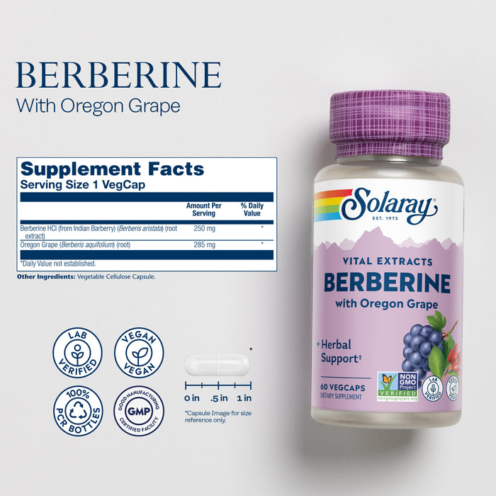 Solaray Berberine Root Extract with Oregon Grape Advanced Formula, AMPK Activator, Healthy Immune, Digestion & Support, 60 VegCaps