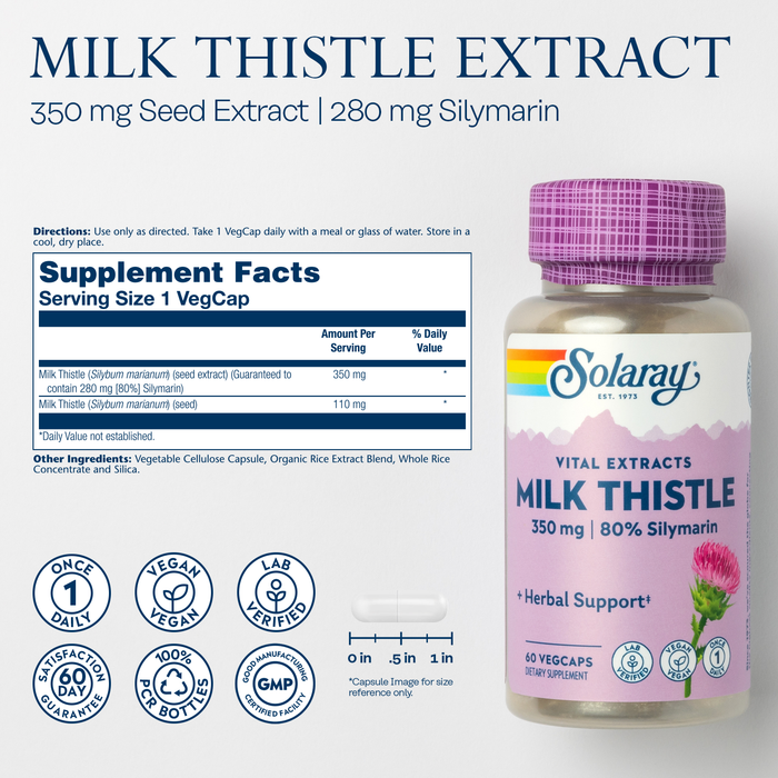 Solaray Milk Thistle Seed Extract One Daily 350mg , Antioxidant Intended to Help Support a Normal, Healthy Liver , Non-GMO & Vegan , 60 VegCaps