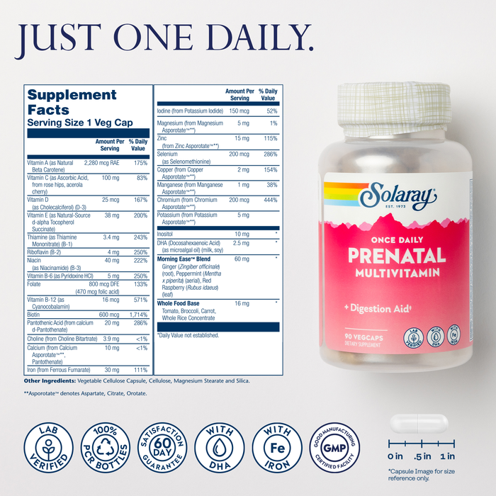 Solaray Once Daily Prenatal Multivitamin with Iron & DHA, Prenatal Vitamins and Minerals for Expectant Mothers, Digestion Aid with Morning Ease Herbal Blend & Whole Food Base, 90 Servings, 90 VegCaps