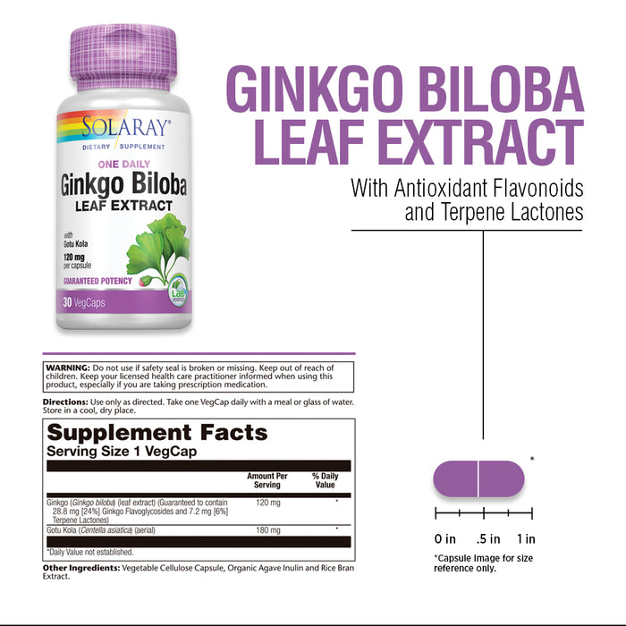 Solaray One Daily Ginkgo Biloba Leaf Extract | Healthy Blood Circulation, Memory & Brain Function Support (60 VegCaps)