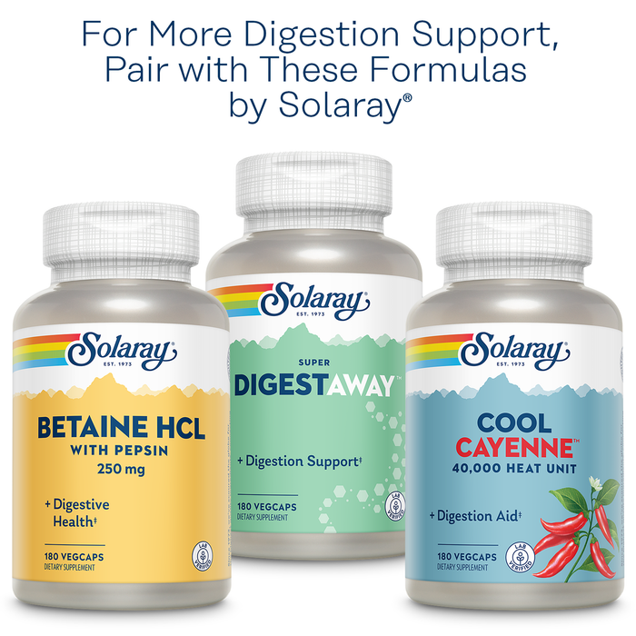 Solaray Organically Grown Ginger Root 540mg Healthy Cardiovascular, Digestive, Joint & Menstrual Cycle Support Vegan & Non-GMO 100 VegCaps