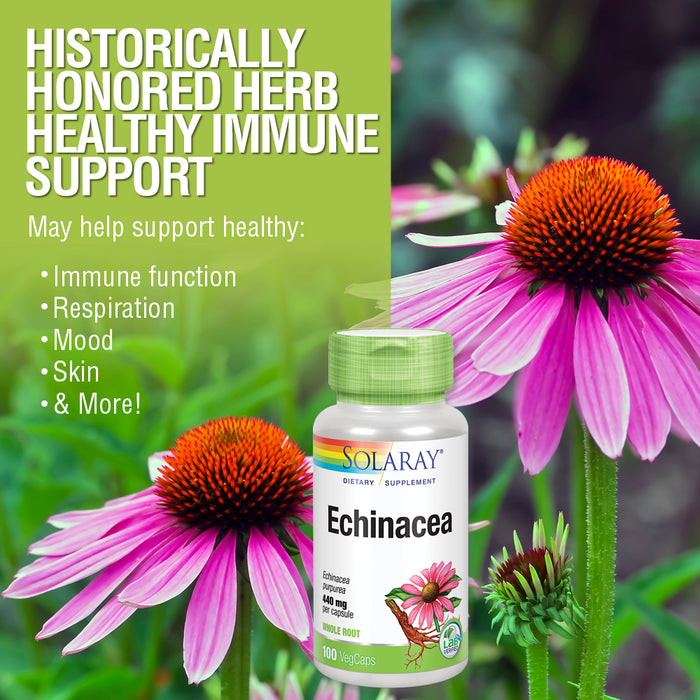 Solaray Echinacea Purpurea Root 440 mg | Healthy Immune & Respiratory Function Support | 100 VegCaps