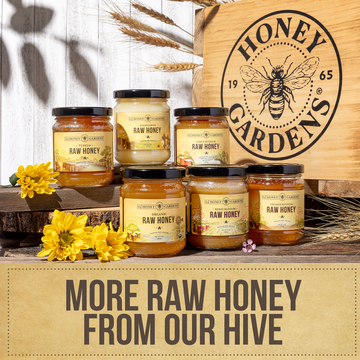 Honey Gardens Lehua Blossom Raw Honey, Premium Bee-Crafted Honey from Nectar of Hawaii’s Lehua Blossom, Rich, Tropical Flavor, Unpasteurized, Unfiltered, Unheated, 12 Servings, 9 OZ.