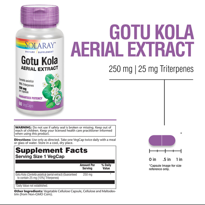 Solaray Gotu Kola Aerial Extract 250 mg | Healthy Blood Vessel, Circulation, Mental Clarity & Mood Support | 60 VegCaps