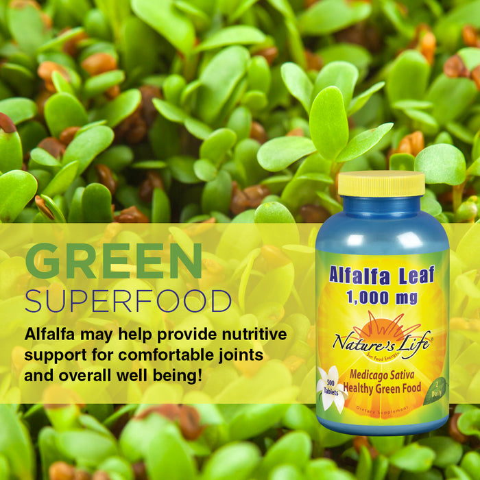 Natures Life Alfalfa Leaf Tablets 1000mg | Vitamin Rich Green Superfood | Non-Gmo