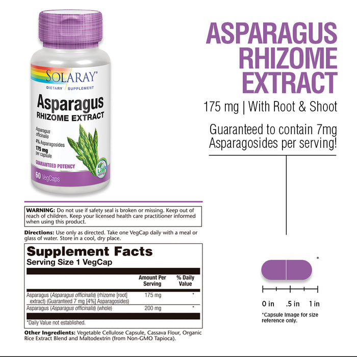 Solaray Asparagus Rhizome Extract 175 mg w/ Whole Root | Healthy Urinary Tract & Digestive Health Support | 60 VegCaps