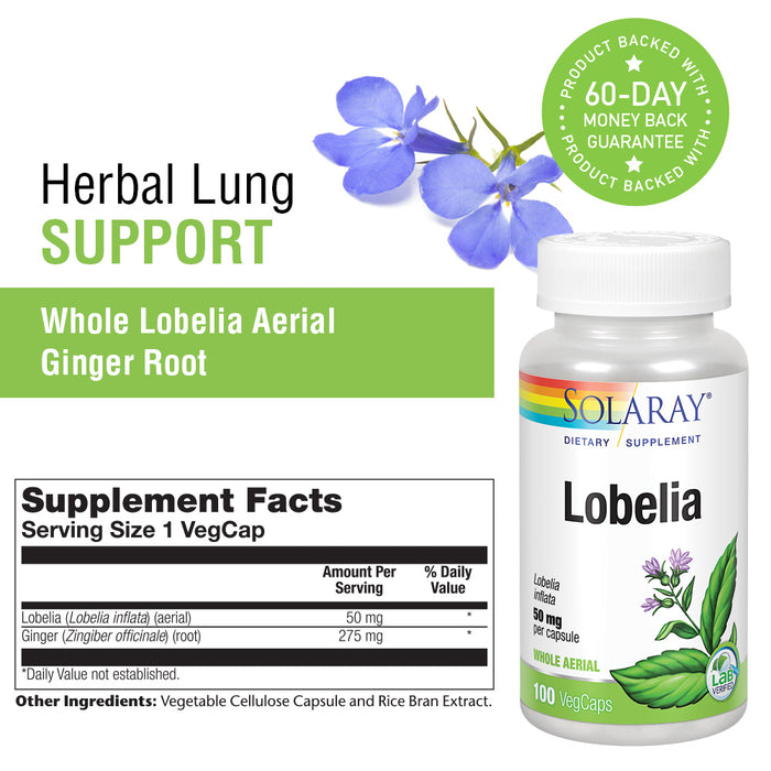 Solaray Lobelia Aerial 50mg | Healthy Respiratory and Bronchial Function Support | Ginger Root for Added Lung Support | Non-GMO & Vegan | 100 VegCaps
