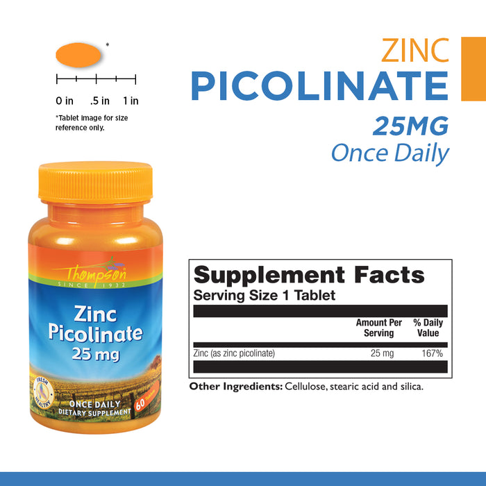 Thompson Zinc Picolinate 25 mg | Once Daily | Healthy Immune System, Cell Function & Metabolism Support | High Absorption | 60 Tablets