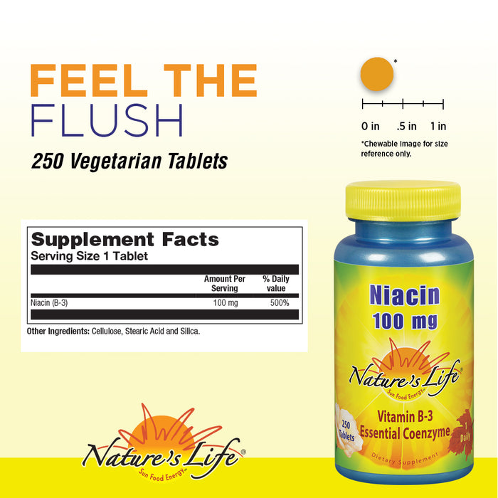 Natures Life Niacin 100mg | Vitamin B3 Supplement | Healthy Blood Lipid, Circulation & Skin Support | 250CT