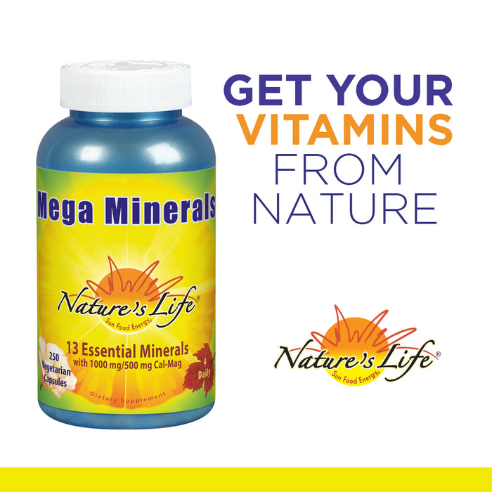 Nature's Life Mega Minerals Complex | Complete Multi Mineral + Vitamin D Supplement | 250 Vegetarian Capsules