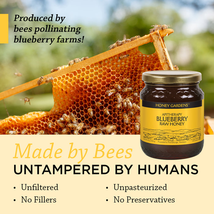 Honey Gardens Apitherapy Blueberry Raw Honey | 100% Pure, US Grade A, Unheated & Unfiltered | 21 Serv | 1 lb Jar