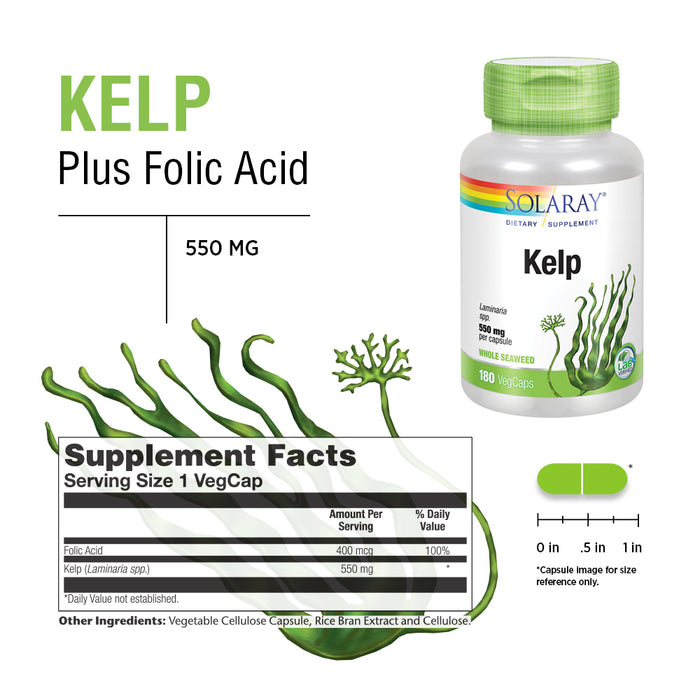 Solaray Kelp 550 mg with Folic Acid for Healthy Thyroid Function, Energy & Metabolism Support | Non-GMO | 180 VegCaps