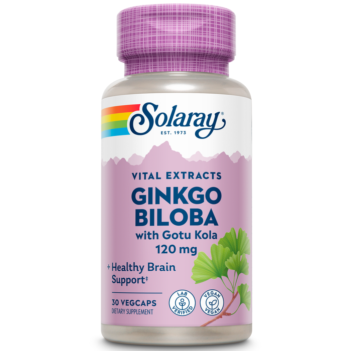 Solaray One Daily Ginkgo Biloba Leaf Extract | Healthy Blood Circulation, Memory & Brain Function Support (60 VegCaps)