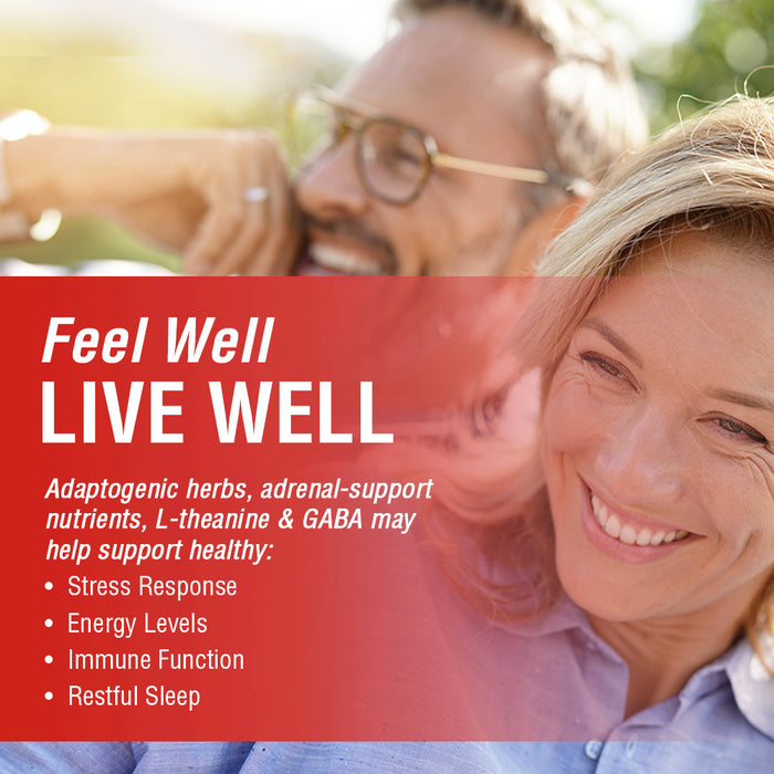Solaray Adrenal Success | Herbal Adaptogens Plus GABA & L-Theanine for Healthy Stress Support | 30 Servings | 60 VegCaps