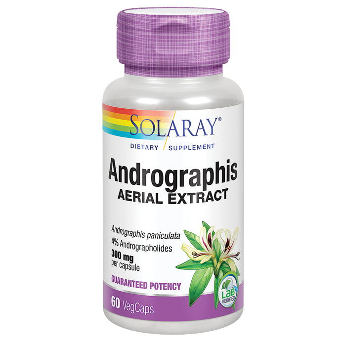 Solaray Andrographis Aerial Extract 600 mg | Healthy Immune System & Respiratory Tract Support | 30 Serv | 60 VegCaps
