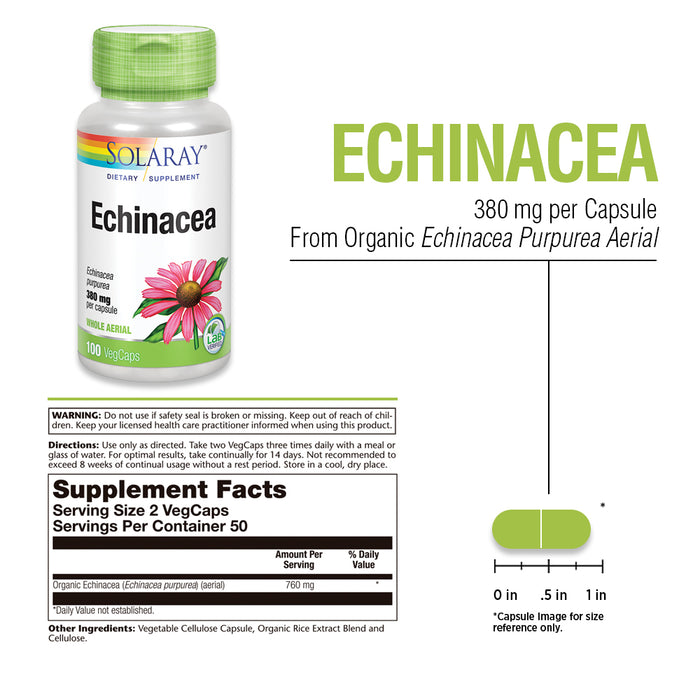 Solaray Echinacea Purpurea Aerial 380 mg | Healthy Immune & Respiratory Function Support | 50 Servings, 100 VegCaps