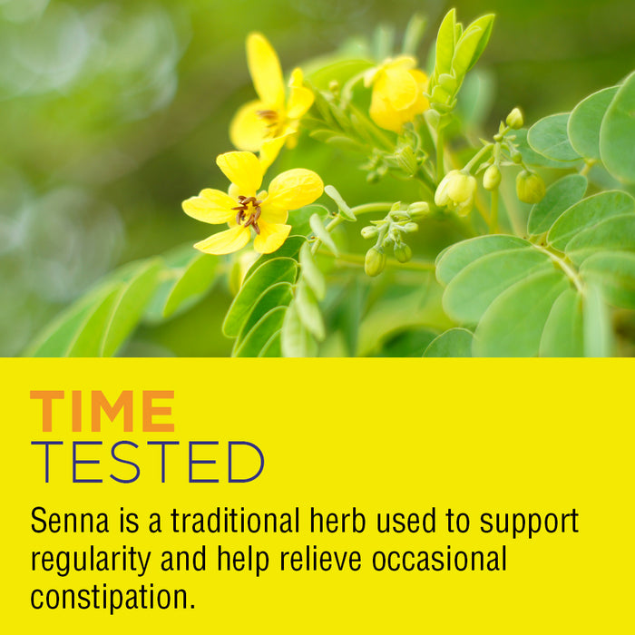 Natures Life Herbs & Prunes | 400mg Senna & Herbal Blend for Healthy Digestion Support | Non-GMO (100 ct)