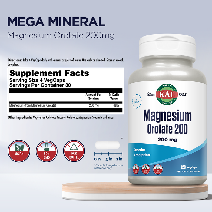KAL Magnesium Orotate 200 mg For Nerve, Muscle, Heart, Relaxation Support Enhanced Bioavailability 30 Servings, 120 VegCaps