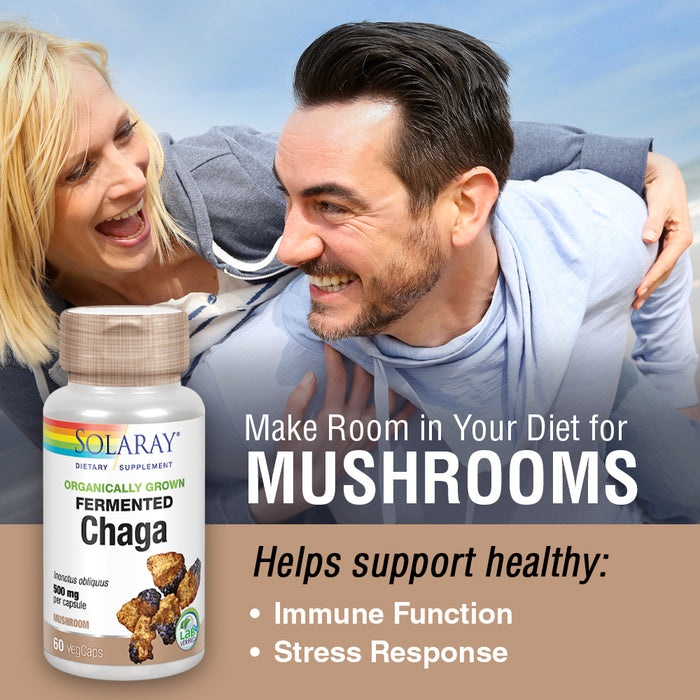 Solaray Fermented Chaga Mushroom 500 mg | Healthy Immune Function Support | 30 Servings | 60 VegCaps