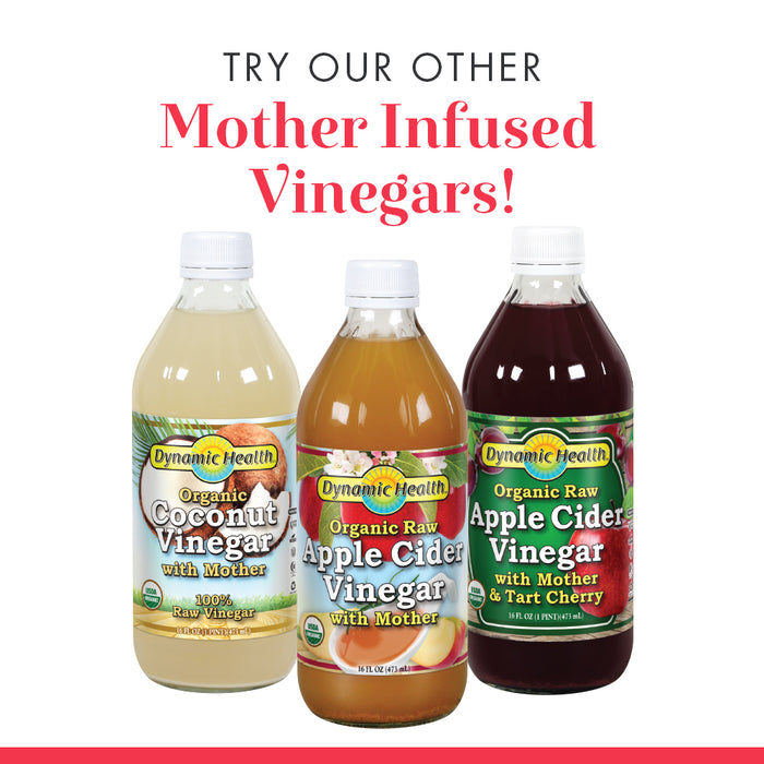 Dynamic Health Organic Raw Apple Cider Vinegar with Mother & Honey | Vegetarian, Non-GMO, No Gluten orArtificial Flavors | 16 FL OZ, Btl-Glass