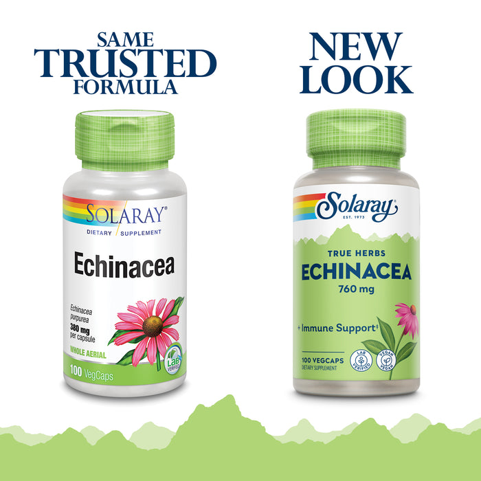 Solaray Echinacea Purpurea Aerial 380 mg | Healthy Immune & Respiratory Function Support | 50 Servings, 100 VegCaps