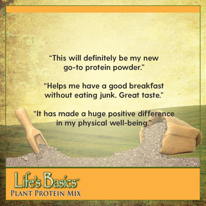 Lifetime Lifes Basics Plant Based Protein Powder | Natural Vanilla, Vegan | Gluten Free, No Artificial Sweeteners,