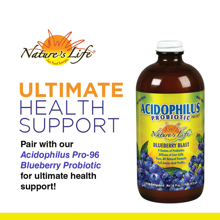 Nature's Life Lipotropic Complex | Comprehensive Support for Healthy Liver Function | With Choline & Inositol | Non-GMO | 90 Vegetarian Tablets