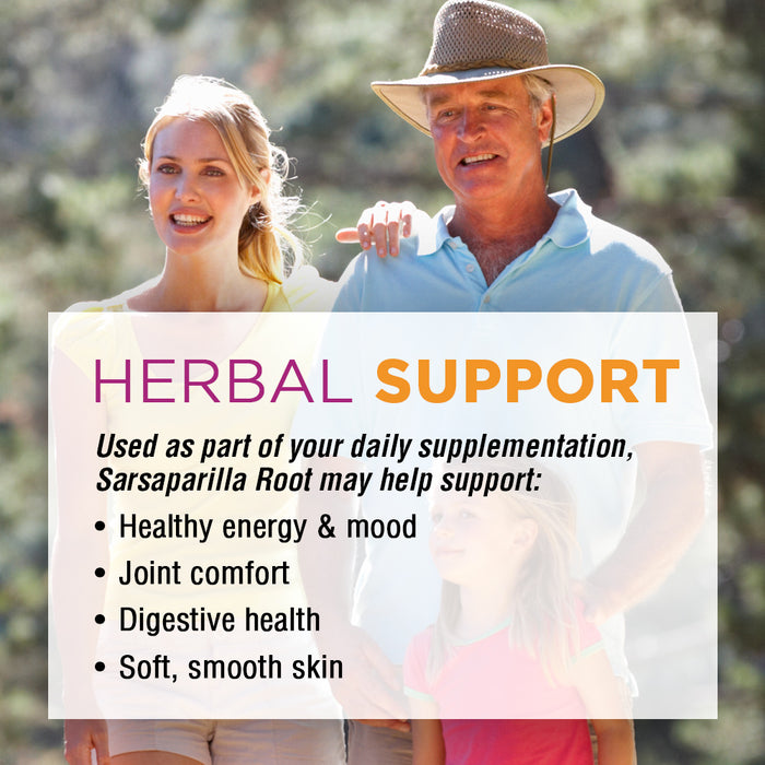 Nature's Life Sarsaparilla Root 450 | Energy and Mood Support | Joint and Skin Health Formula, Non-GMO, 100 CT